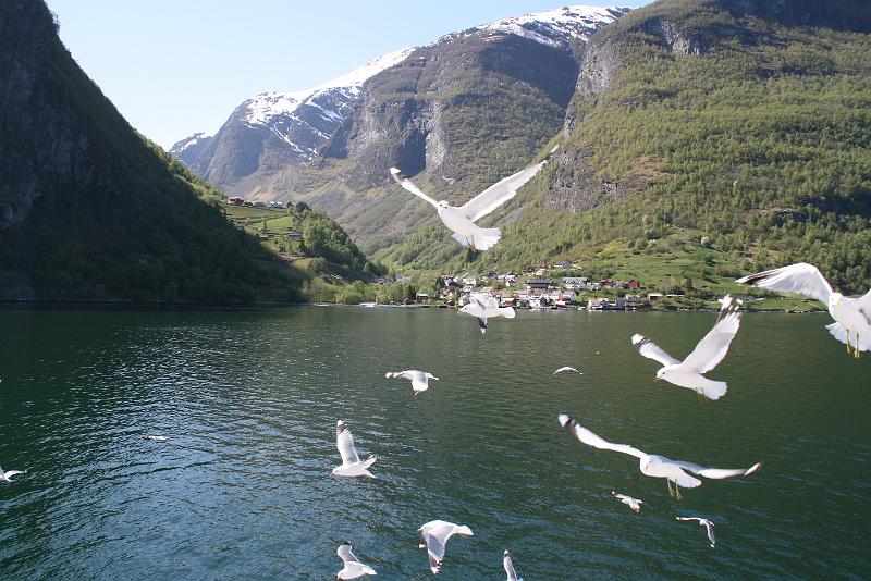 Fjords (66).jpg